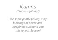 icamnainside